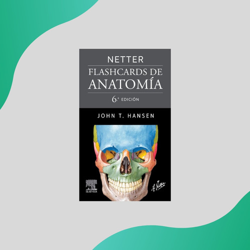 Netter Flashcards De Anatomía 6 Edicion 