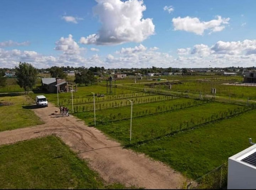 Imagen 8 de 8 de Venta Excelentes Lotes En Domselaar !!!