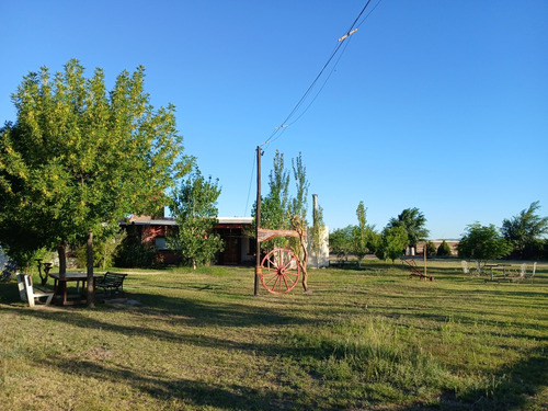 Se Vende Chacra De 17 Has. En Beazley San Luis