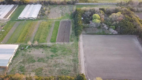 Imagen 2 de 6 de Venta Campo Belen De Escobar Inversión