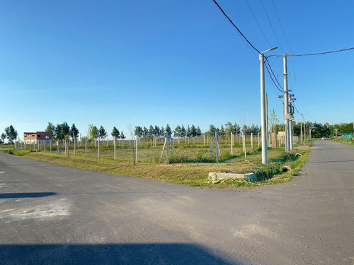 Terreno En Venta, Barrio Cardales Chico