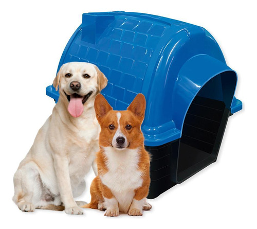 Casinha Pet Raças Médias Grandes N5 Iglu Cachorro Azul