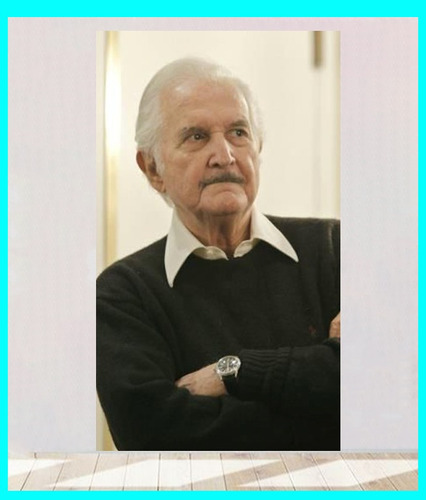 Cuadro Decorativo Carlos Fuentes 29x50 Cm  El Mal Del Tiempo