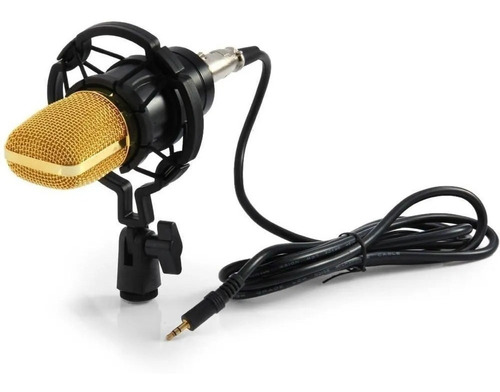 Microfone Condensador Profissional Xlr Para Estudio Cor Preto e dourado