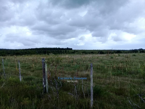 Chacra 7has Próxima A Piedras De Afilar En Canelones