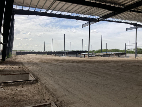 Imagen 8 de 9 de Nave 8.000m2 - Esteban Echeverria