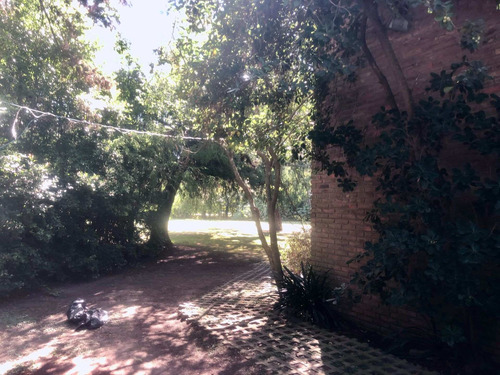 Imagen 7 de 24 de 3 Lotes En Venta 1326m2 M. Alberti. Pilar