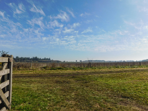 Imagen 6 de 14 de Lotes En Venta, 10.400 M2 Con Construcción Y Pileta. Tandil