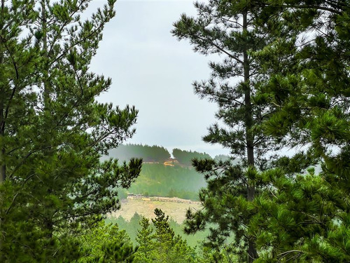 Sitio En Venta En Boyeruca, Loteo Alto Boyeruca
