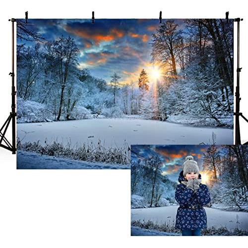 8x6ft Sunshine Snow Forest Backdrop Winter Snow  Land P...