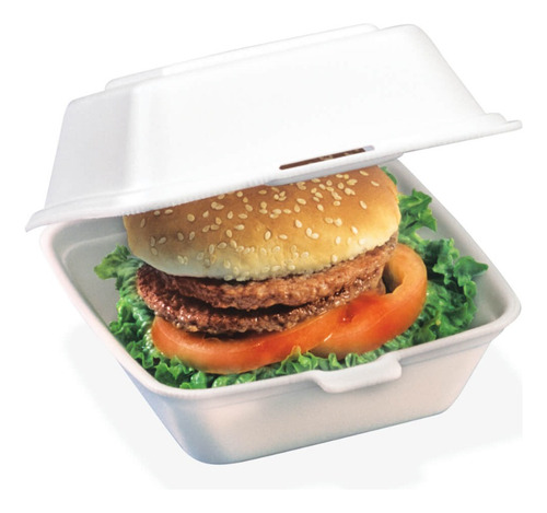 Estuche Térmico Para Hamburguesas X 10 Unidades Bandex