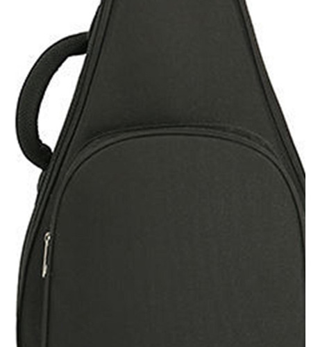 Bolsa De Instrumentos De Laúd Chino, Bolsa De Pipa