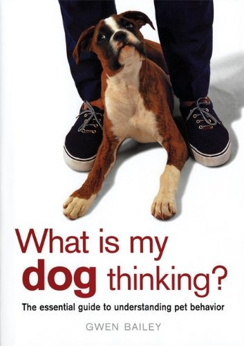What Is My Dog Thinkingr The Essential Guide To Understandin