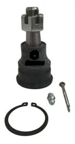 Comprar Muñon Inferior Nissan Sentra B15 01-04 Almera B10 06-08