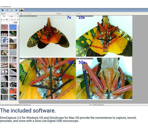 Dino-lite Microscopio Digital De Mano, Aumento De 10x-220x,