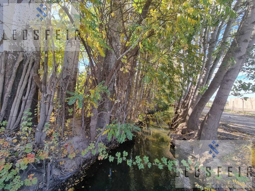 Imagen 3 de 8 de Venta Terreno - Rui Limay - Plottier