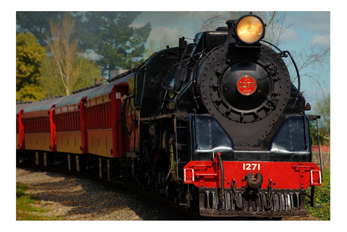 Vinilo 80x120cm Locomotora Trenes Ferrovias Anden Viaje P3