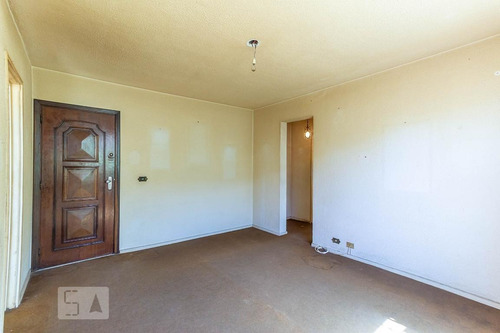 Apartamento Para Aluguel - Quintino Bocaiúva, 1 Quarto, 50 - 893241974