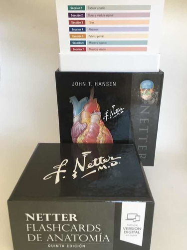 Netter Flash Card De Anatomia 5a Ed Originales Y Nuevas