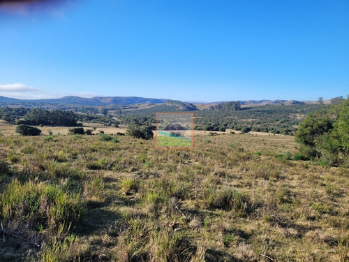 Imagen 9 de 20 de Chacra 14 Hás Con Casa Y Galpón Maldonado