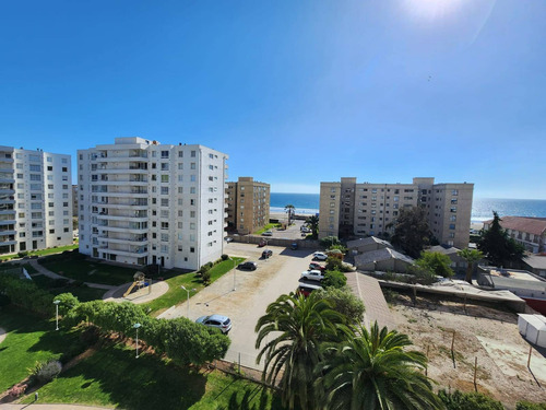 La Serena (65565)