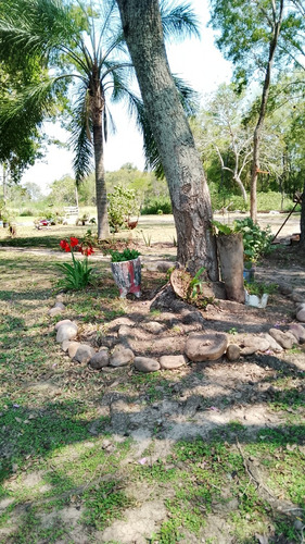 Quinta