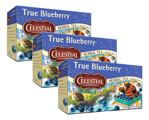 Kit 3 Chá True Blueberry Celestial Seasonings 20 Sachês 45g