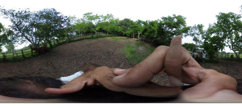 Venta Rancho Ganadero 100 Hectáreas Tamiahua Veracruz