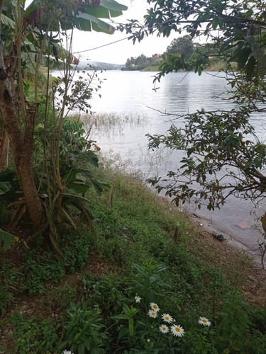 Imagen 12 de 15 de Finca En Venta -lago Calima