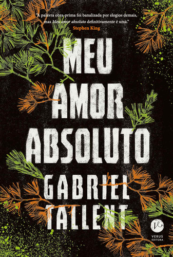 Meu amor absoluto, de Tallent, Gabriel. Editorial Verus Editora Ltda., capa mole em português, 2021