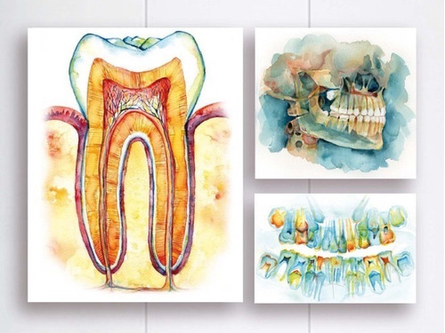 Cuadros Dentista Odontología Dientes Modernos Set En Canvas