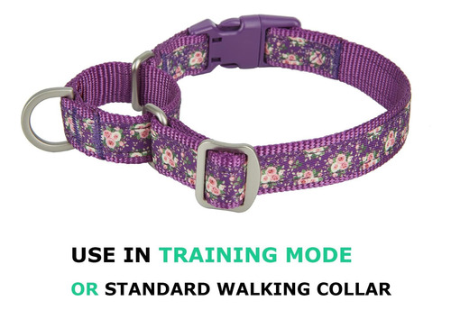 Yudote Collares Para Perros Martingale Con Hebilla Rápida En