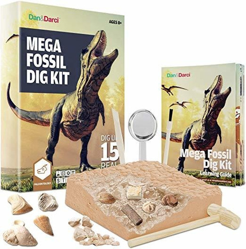 Mega Kit Fossil Dig - Dig Up 15 Auténticos Fósiles (huesos D