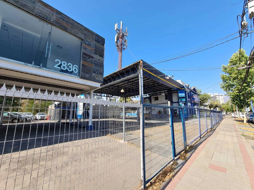 Arrienda Vende 500 Y 1500 M2 (167343)