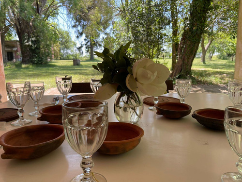 Imagen 4 de 30 de Venta - Campo Ernestina - 25 De Mayo - Rio Salado