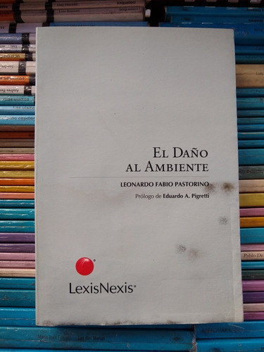 El Daño Al Ambiente Leonardo Pastorino -rf Libros