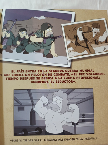 Los Simpson La Historia Familiar Un Homenaje A La Familia (Usado)