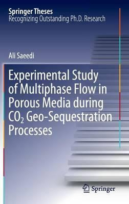 Libro Experimental Study Of Multiphase Flow In Porous Med...