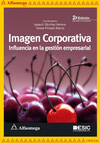 Libro Ao Imagen Corporativa - Influencia En La Gestión Empre