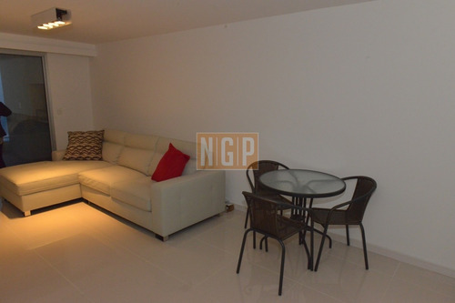 Imagen 10 de 30 de Apartamento De 3 Dormitorios Frente Al Mar Fotos Del Departamento