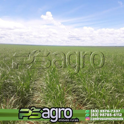 Imagem 3 de 11 de Fazenda À Venda, 9075000 M² Por R$ 71.250.000,00 - Parque Do Peão Boiadeiro - Barretos/sp - Fa0220