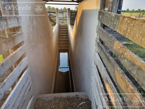 Campo En Venta 1217 Has En Villa Guillermina, Santa Fe.