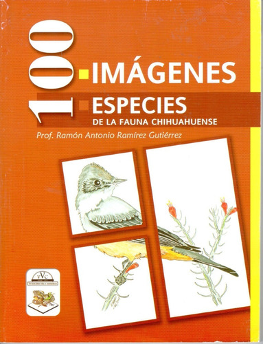 100 Imágenes/especies De La Fauna Chihuahuense