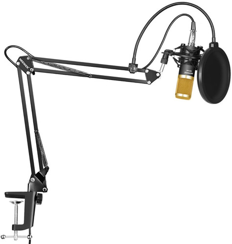 Kit Micrófono Condensador Stand Estudio Gold Neewer Nw-800