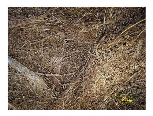 Imagem 3 de 7 de Fibra De Coco Para Substituir A Fibra De Xaxim - 50 Litros