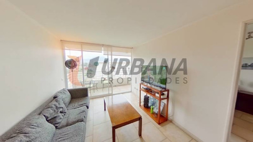 Imagen 7 de 16 de Serena Pacífico Arriendo Marzo A Diciembre La Serena