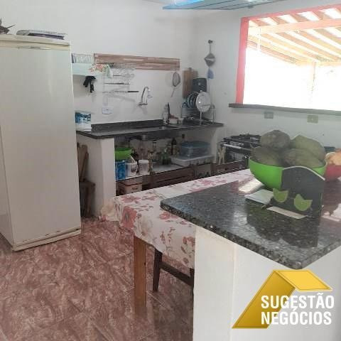 Imagem 14 de 15 de Chácara 10 Mil M² – Cesário Lange - 3796