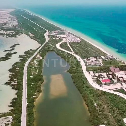 Terreno Habitacional En Venta Santa Ursula, Yobain Yucatan