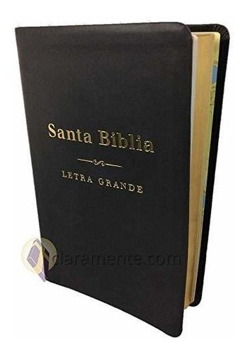 Santa Biblia - Reina Valera 1960 - Letra Grande