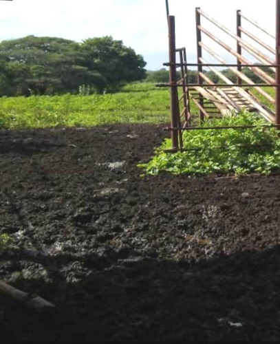 Imagen 4 de 7 de Se Vende Terreno Santa Maria Ipire Guarico Ve01-1434gu-mgue